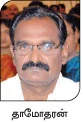மஞ்சள், மரவள்ளி, கரும்பு...