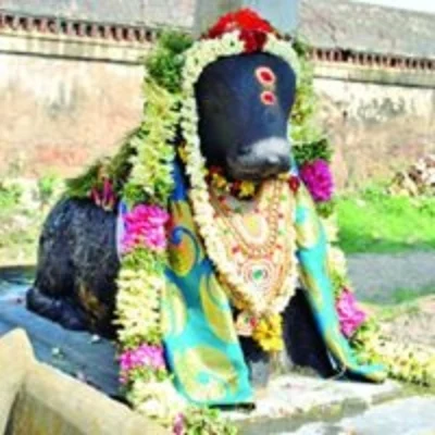 சிவபெருமானின் வாகனமான காளையின் சிறப்பம்சங்கள்