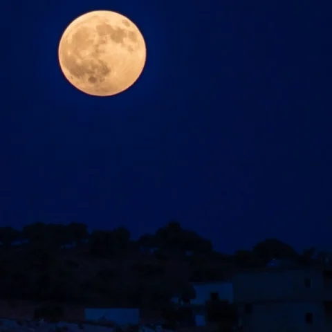 இன்று `பிங்க்’ நிலாவைப் பார்க்கலாம்... இதில் என்ன ஸ்பெஷல்? #PinkMoon