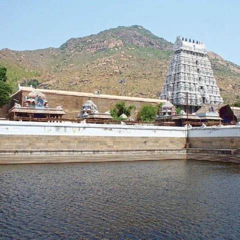 நாரதர் உலா - `நடை சாத்தியபிறகும் ஆள் நடமாட்டம்!’