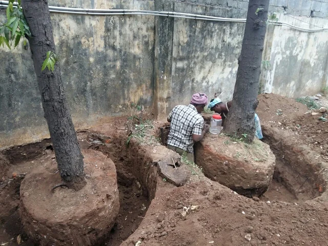 இங்கும்... அங்கும்.... டிராவலாகும் மரங்கள்.... இனி இது சாத்தியம்! #WhereIsMyGreenWorld