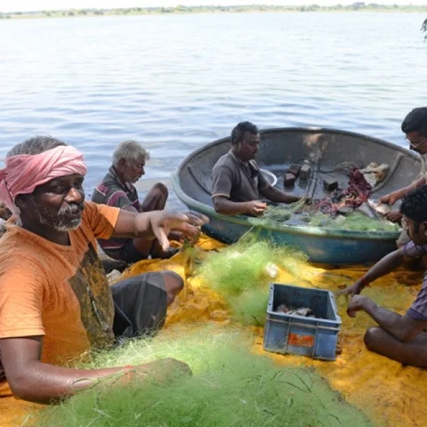 ‘போட்டோ எடுத்தால் மீன் வலையில மாட்டாது!’ - கோவையில் நிஜ ‘முண்டாசுப்பட்டி’ கதை