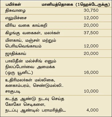 நீங்கள் கேட்டவை : ‘தோட்டக்கலைப் பயிர்களுக்கு எவ்வளவு மானியம்?”