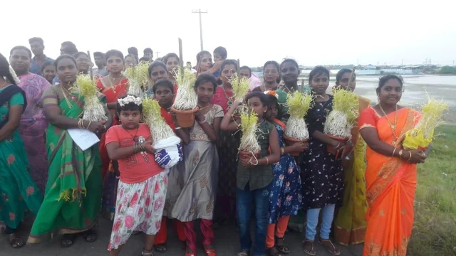 கிறிஸ்துமஸ் பண்டிகையில் முளைப்பாரி ஊர்வலம்! மத நல்லிணக்கத்தை வலியுறுத்திய தூத்துக்குடி பெண்கள்