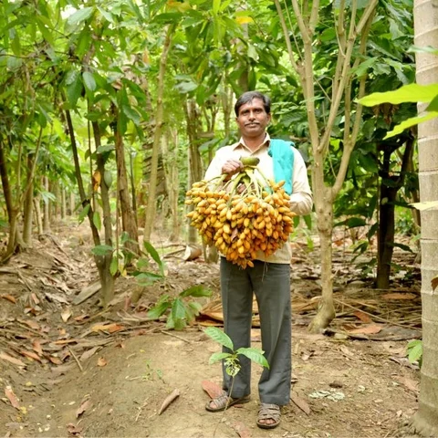 2.5 Lacs from One acre in Zero Budget Farming !