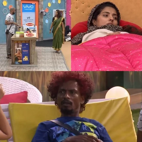 "'சுங்கிடிச் சேலை' யாஷிகா... `முடியாது' மும்தாஜ்..!" - பிக்பாஸ் மசாலாஸ்