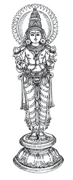 உள்ளங்கையில் சில உண்மைகள்