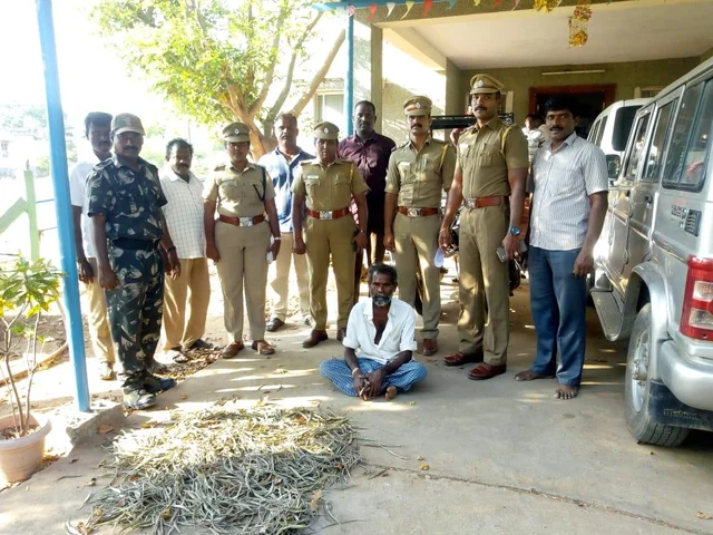 புதுக்கோட்டையில் பதுக்கிவைக்கப்பட்டிருந்த 1600 கடல் பல்லிகள் - போலீஸார் பறிமுதல்