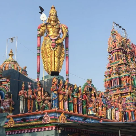 புதுச்சேரி மக்களின் ஃபேவரைட் கடவுள் `பாய் முருகர்’! - கௌஸ் கோயில் பின்னணி #MyVikatan
