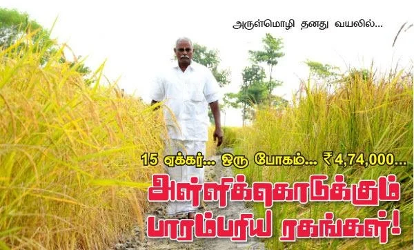 These traditional varieties yield more and more