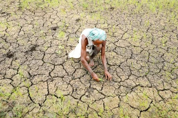 உரம் வாங்கத் திண்டாடுகிறான் இந்திய விவசாயி... உல்லாச காலண்டர் எடுக்கிறார் மல்லையா? #WhereisVijayMallya? #WhyLetMallyaFlee?