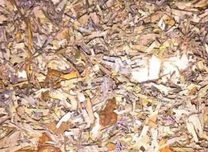 துண்டு துண்டாக கிடந்த ரூபாய் நோட்டுகள் யாருடையது என கண்டுபிடிப்பு