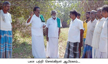''கூட்டு மரங்களால் கூடுதல் லாபம்!''