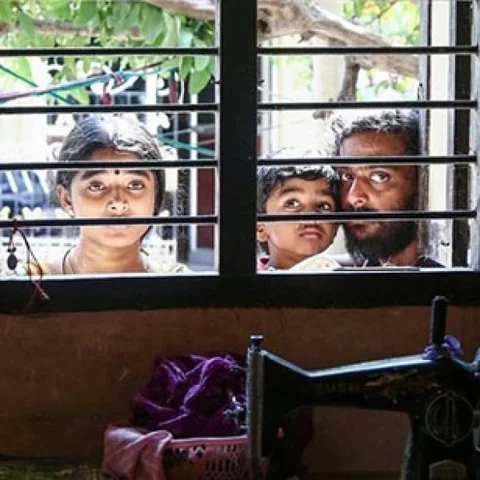 `` `அந்த நாள்’ முதல் `டு லெட்’ வரை... இந்த சினிமாக்களின் ஒற்றுமை என்ன?’’