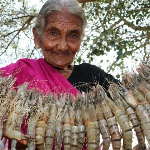 12 லட்சம் பேரின் மனசுக்கு சொந்தக்காரி! - 107 வயதான யூடியூப் ஸ்டார் மஸ்தானம்மா