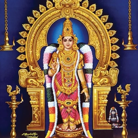 திருமண வரம் அருளும் நெல்லை காந்திமதி அம்மன்! #AadiSpecial
