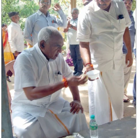 மினி மீல்ஸ்