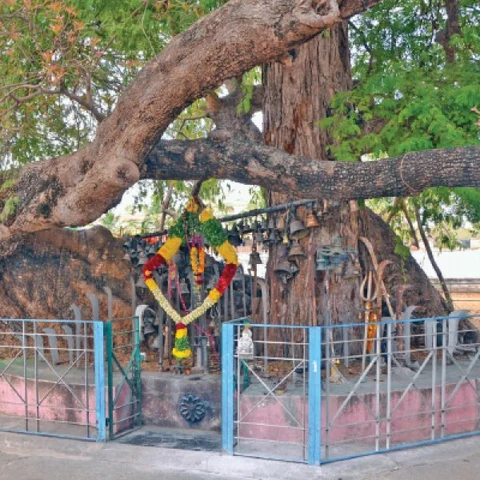 மண்... மக்கள்... தெய்வங்கள்! - 23 - வீரன் வாளுக்கு வேலி