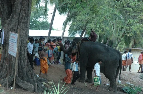 கோலாகலமாக தொடங்கியது கெள மாரியம்மன் திருவிழா! (படங்கள்)