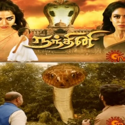 நாகினியைப் போலவே, பழிவாங்க துடிக்கும் இந்த நந்தினி யார்?