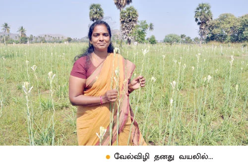 தினம் தினம் பணம்... சம்பங்கி... சாமானியனின் வங்கி!