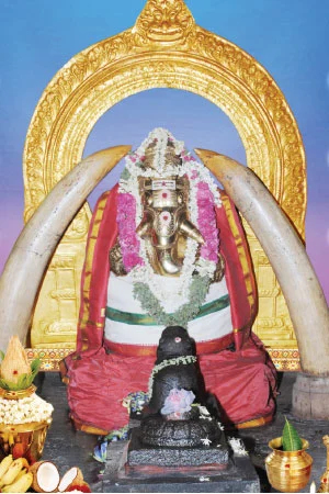 திருக்குடந்தை திருவுலா! - தலங்கள்... தகவல்கள்!