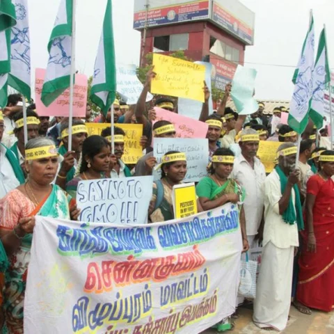 'மரபணு மாற்றப்பட்ட கடுகு வேண்டாம்!' - பெசன்ட் நகரில் பேரணி