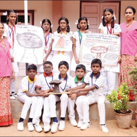 காளான் பாறை!