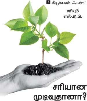 சரியும் எஸ்.ஐ.பி. சரியான முடிவுதானா?