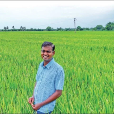 3 Acres, 130 Days, Rs 1,60,000 Income … Holiday Farmer’s Organic Cultivation!