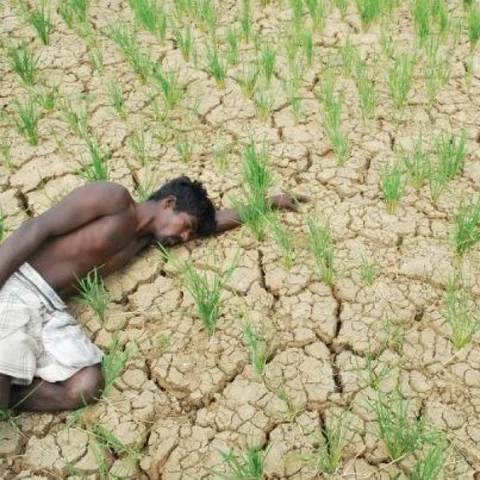 வரும் காலங்களில் உணவுக்காக அடுத்த மாநிலங்களிடம் கையேந்தப் போகிறதா தமிழகம்?