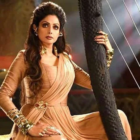 "பெர்ஃபெக்ஷனிஸ்ட் ஶ்ரீதேவியிடம் நாம் கற்றுக் கொள்ள நிறைய இருக்கிறது!" - இயக்குநர் சிம்புதேவன்