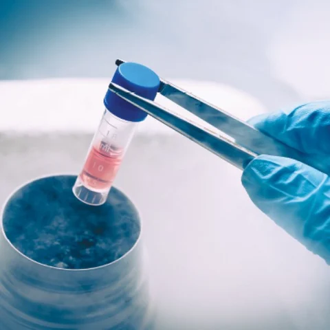 மாடர்ன் மெடிசின்.காம் - 18 - ஸ்டெம் செல் சிகிச்சை - நம்பிக்கை தரும் நவீன மருத்துவம்!