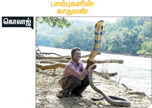 கலைடாஸ்கோப் - 17