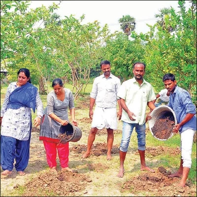 ஒரு நாள் விவசாயி! பருவம் 2 - பண்ணையை நோக்கி பயனுள்ள பயணம்