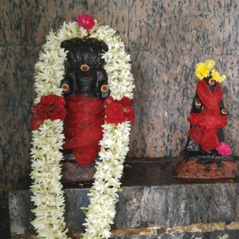 ராஜயோகம் தரும் ராகு கேது வழிபாடு... சீர்காழி நாகேஸ்வரமுடையார் கோயிலில் பரிகார வழிபாடு!