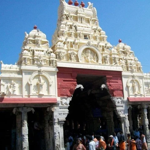 மே 9-ல் தொடங்குகிறது திருச்செந்தூர் முருகன் கோயில் வைகாசி வசந்த விழா