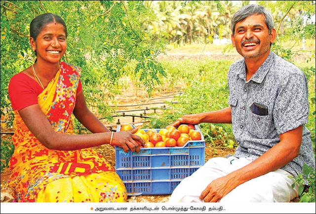 லாபமும் சூழலும்: 6 நிமிட வாசிப்பில் பசுமை விகடன் 8 பகுதிகள்!