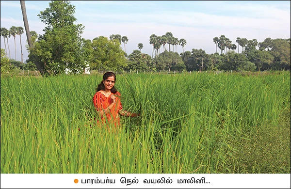 இப்படியும் பண்ணலாம் விவசாயம்… அசத்தும் தமிழக விவசாயிகள்!