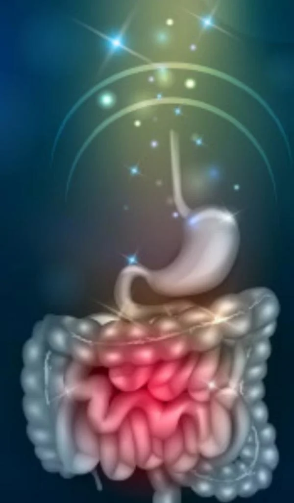கழிப்பறையின் ஆரோக்கிய விதிகள்... மலச்சிக்கல் தவிர்க்க! #Constipation