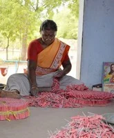 பட்டாசு ஆலைகள்...பகீர் உண்மைகள் - மினி தொடர்: பாகம் 2