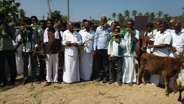 `சேலத்தில் உயர் அழுத்த மின் கோபுரங்களுக்கு எதிர்ப்பு' - நூதன போராட்டத்தில் ஈடுபட்ட விவசாயிகள்!