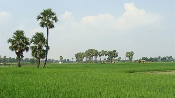 உங்கள் விவசாயிகளை அறிந்துகொள்ளுங்கள்...