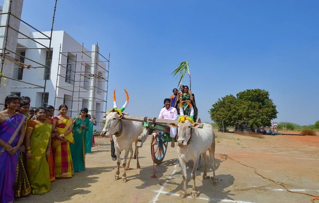 `மாட்டுவண்டி பயணம்; உறியடி போட்டி!’ - பொங்கல் வைத்து தைத்திருநாள் கொண்டாடிய மாணவிகள்