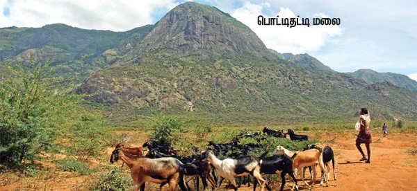 தேனியில் பிசாசுத் துகள்!