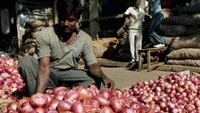 onion