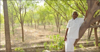 வெகுமதி கொடுக்கும் வேம்பு !