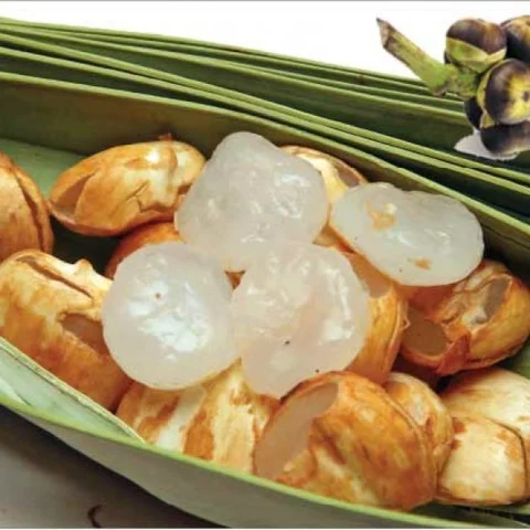 மருத்துவப் பலன்கள், ரெசிப்பிகள், அழகு குறிப்புகள் தரும் நுங்கு!