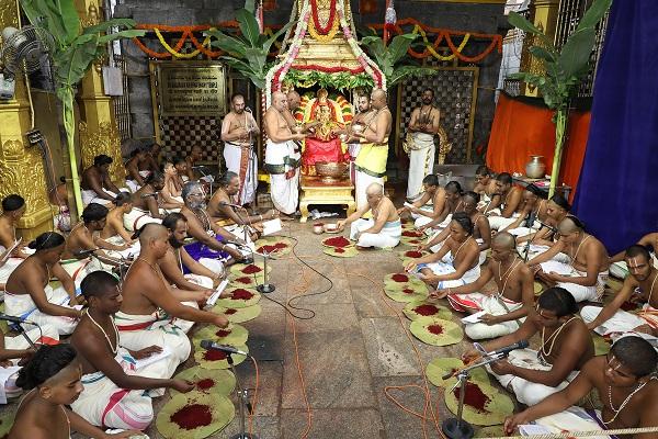 திருப்பதி திருச்சானூர் பத்மாவதி தாயார் பிரம்மோற்சவம்... 9-ம் தேதி கருட சேவை!