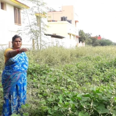 "விதை நான் போட்டது!"... மதுரையில் பசுமையாய் ஒரு 'மகளிர் மட்டும்' விவசாயம்